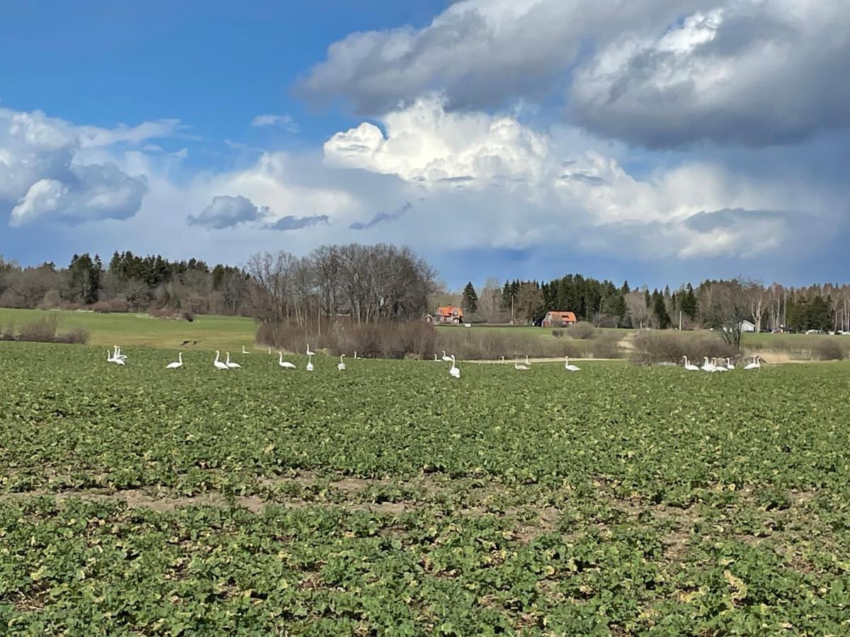 Sjoenaera Stuga Norrtälje Exterior foto